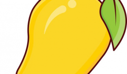 芒果动漫,描绘青春梦想的彩色画卷